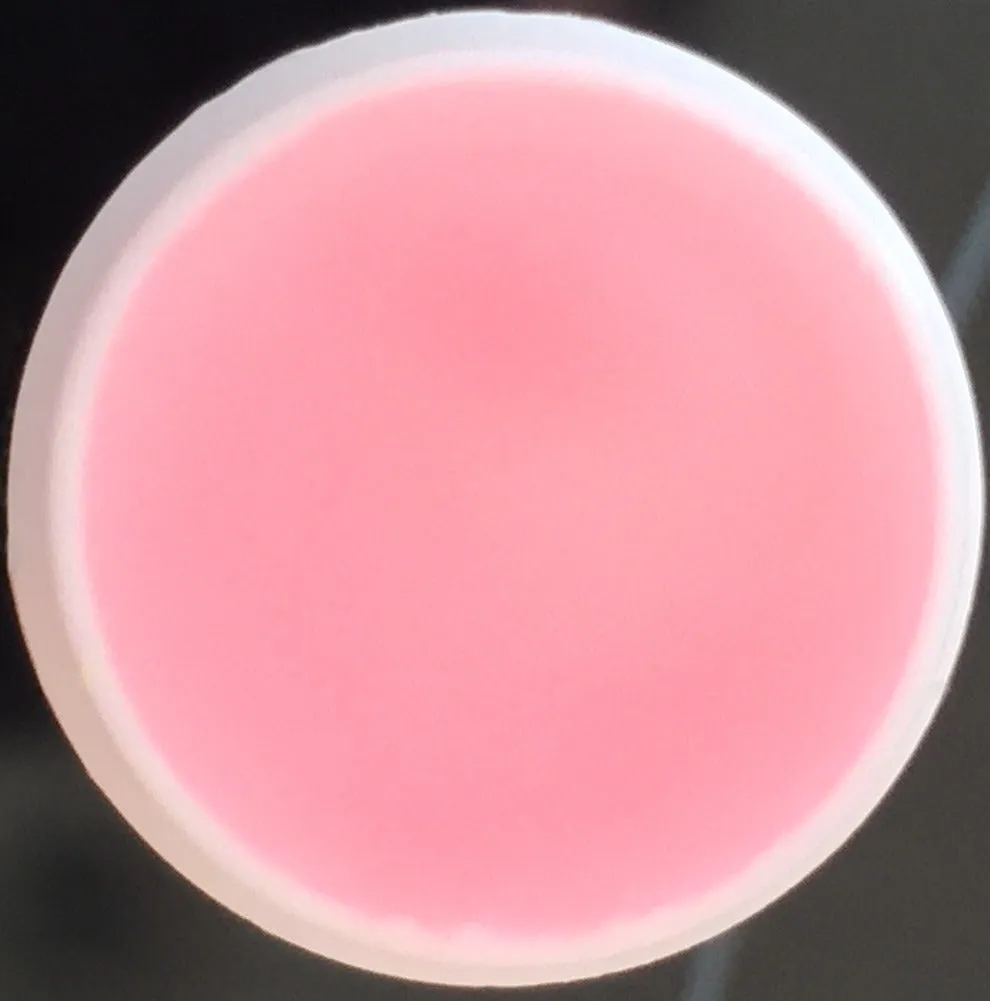 Cotton Candy Flavored Lip Balm Kissing Stick