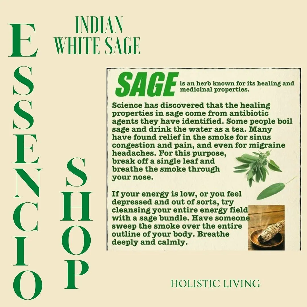 ESSENCIO SHOP Indian White Sage Loose Leaves 100 gm, Pure Natural herb for smudging