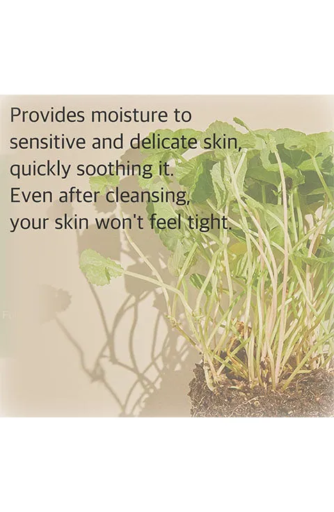 mixsoon Centella Cleansing Foam 5.07 fl oz/ 150ml