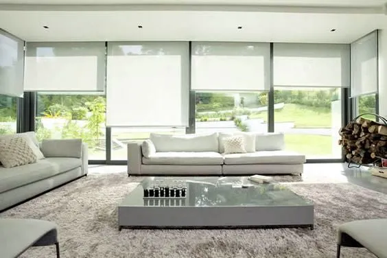 Sunscreen Blinds